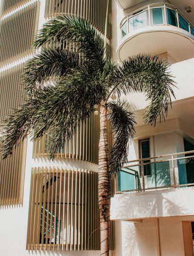 Onze Focus als Nederlandse makelaar in Dubai Onze Focus als Nederlandse makelaar in Dubai
